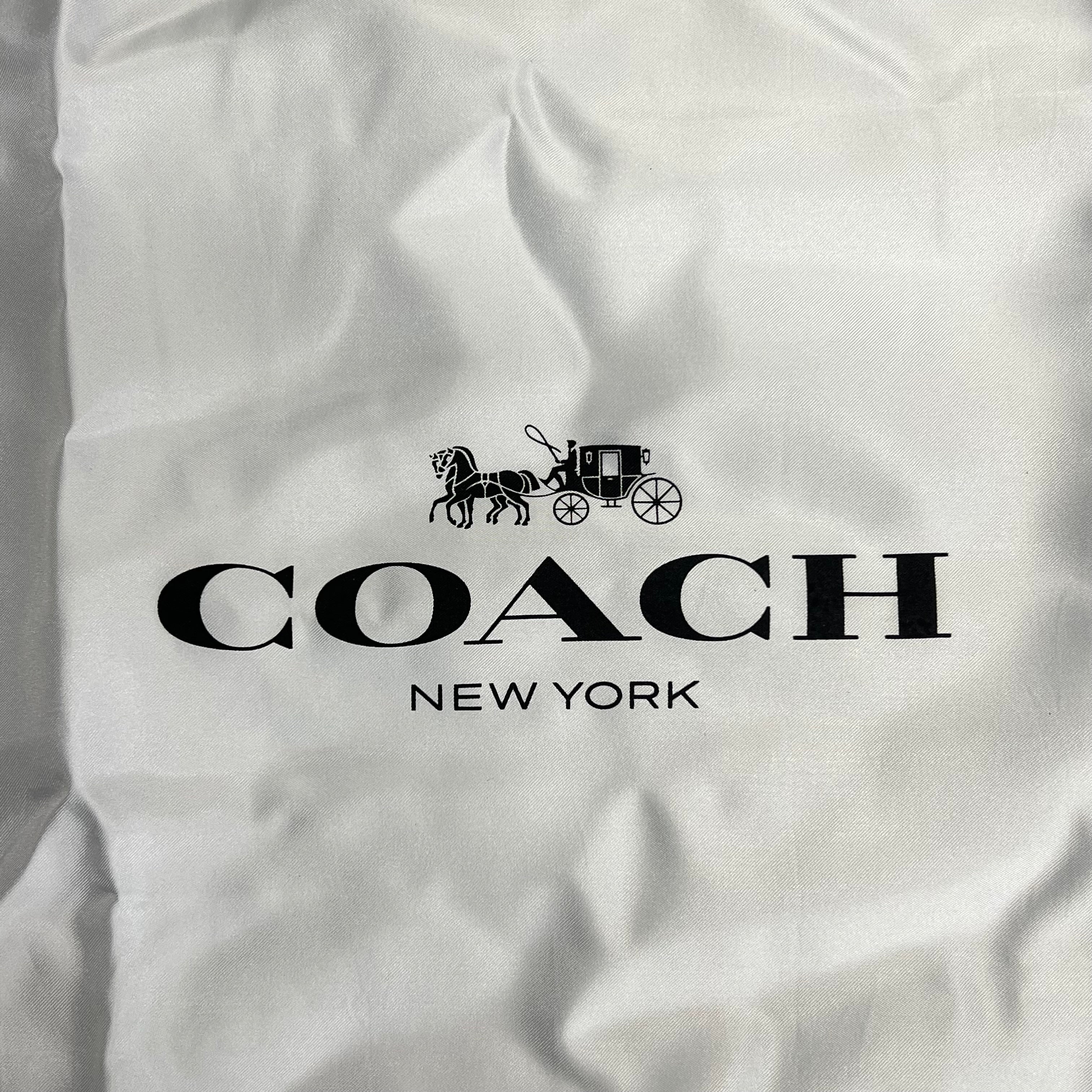 COACH Brooklyn Shoulder Bag 39 Smooth Leather Large 15.25x17x4" Maple CU044